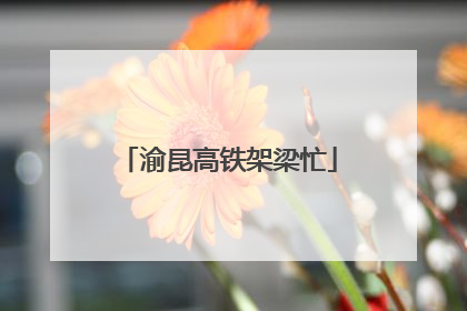 渝昆高铁架梁忙
