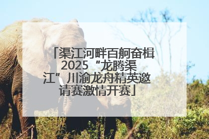 渠江河畔百舸奋楫 2025“龙腾渠江”川渝龙舟精英邀请赛激情开赛