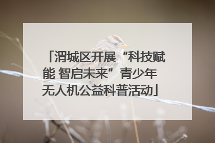 渭城区开展“科技赋能 智启未来”青少年无人机公益科普活动