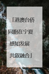 港澳台侨同胞在宁夏感知发展 共叙融合