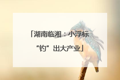 湖南临湘：小浮标“钓”出大产业