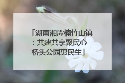 湖南湘潭楠竹山镇：共建共享聚民心 桥头公园惠民生