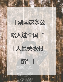 湖南这条公路入选全国“十大最美农村路”