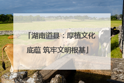湖南道县：厚植文化底蕴 筑牢文明根基