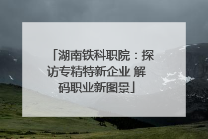 湖南铁科职院：探访专精特新企业 解码职业新图景