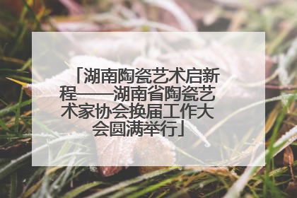 湖南陶瓷艺术启新程——湖南省陶瓷艺术家协会换届工作大会圆满举行
