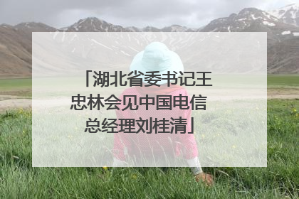 湖北省委书记王忠林会见中国电信总经理刘桂清