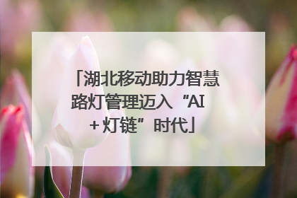 湖北移动助力智慧路灯管理迈入“AI＋灯链”时代
