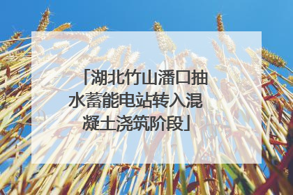 湖北竹山潘口抽水蓄能电站转入混凝土浇筑阶段