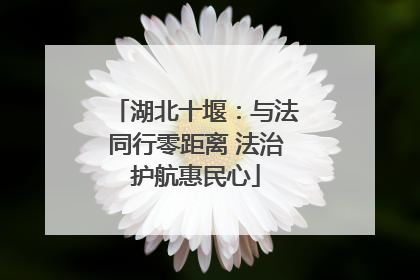 湖北十堰：与法同行零距离 法治护航惠民心