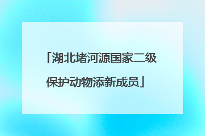 湖北堵河源国家二级保护动物添新成员