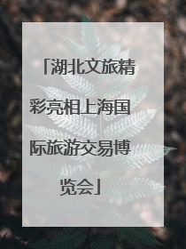 湖北文旅精彩亮相上海国际旅游交易博览会