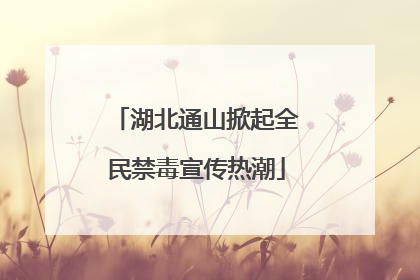 湖北通山掀起全民禁毒宣传热潮
