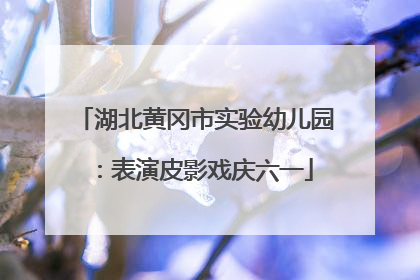 湖北黄冈市实验幼儿园：表演皮影戏庆六一