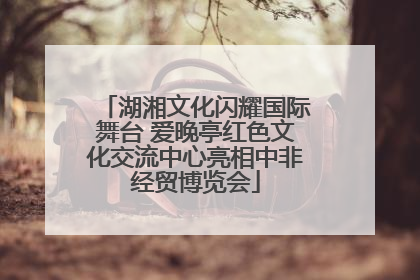 湖湘文化闪耀国际舞台 爱晚亭红色文化交流中心亮相中非经贸博览会