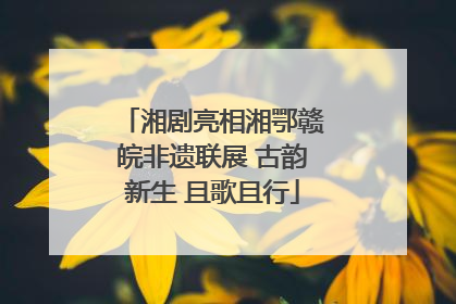 湘剧亮相湘鄂赣皖非遗联展 古韵新生 且歌且行