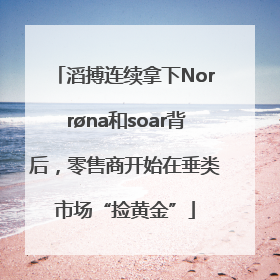 滔搏连续拿下Norrøna和soar背后，零售商开始在垂类市场“捡黄金”