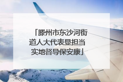 滕州市东沙河街道人大代表显担当实地督导保安康