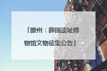 滕州：薛国遗址博物馆文物征集公告
