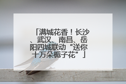 满城花香！长沙、武汉、南昌、岳阳四城联动“送你十万朵栀子花”