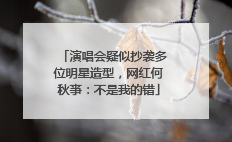 演唱会疑似抄袭多位明星造型，网红何秋亊：不是我的错