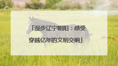 漫步辽宁朝阳：感受穿越亿年的文明交响
