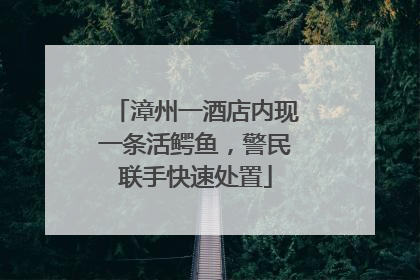 漳州一酒店内现一条活鳄鱼，警民联手快速处置