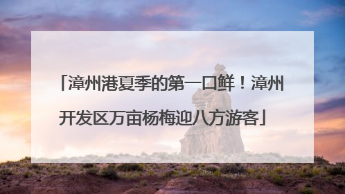 漳州港夏季的第一口鲜！漳州开发区万亩杨梅迎八方游客