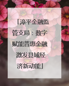 漳平金融监管支局：数字赋能普惠金融 激发县域经济新动能