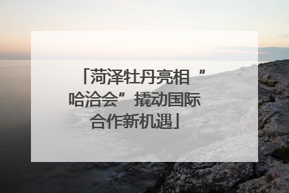 菏泽牡丹亮相“哈洽会”撬动国际合作新机遇