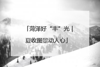菏泽好“丰”光｜夏收图景动人心