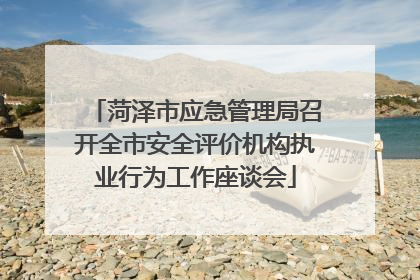 菏泽市应急管理局召开全市安全评价机构执业行为工作座谈会