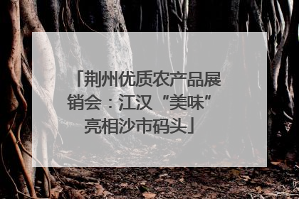 荆州优质农产品展销会：江汉“美味”亮相沙市码头
