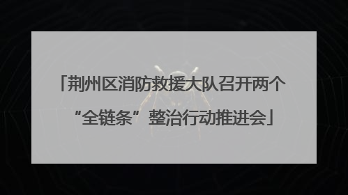 荆州区消防救援大队召开两个“全链条”整治行动推进会