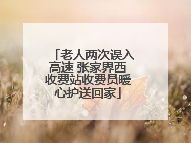 老人两次误入高速 张家界西收费站收费员暖心护送回家
