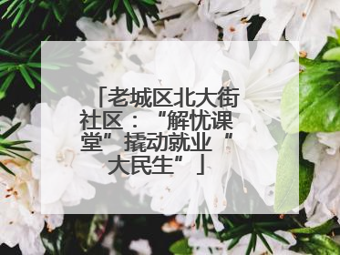 老城区北大街社区：“解忧课堂”撬动就业“大民生”