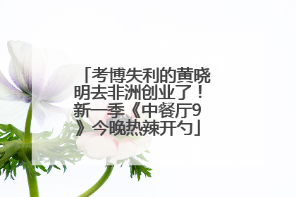 考博失利的黄晓明去非洲创业了！新一季《中餐厅9》今晚热辣开勺