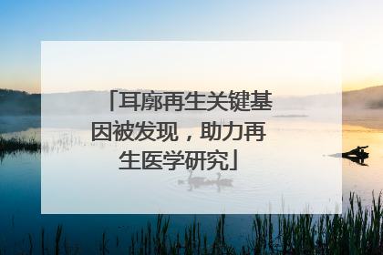 耳廓再生关键基因被发现，助力再生医学研究