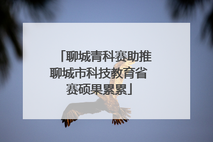 聊城青科赛助推聊城市科技教育省赛硕果累累