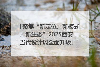 聚焦“新定位、新模式、新生态”2025西安当代设计周全面升级