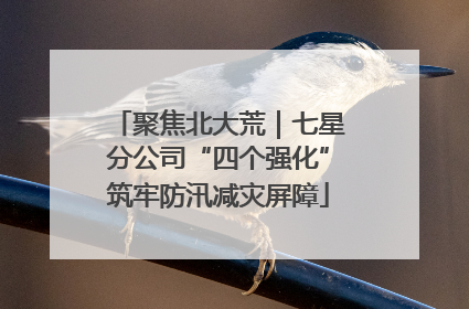 聚焦北大荒｜七星分公司“四个强化”筑牢防汛减灾屏障