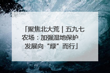 聚焦北大荒｜五九七农场：加强湿地保护 发展向“绿”而行