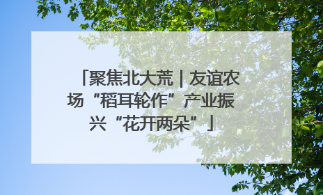 聚焦北大荒｜友谊农场“稻耳轮作”产业振兴“花开两朵”