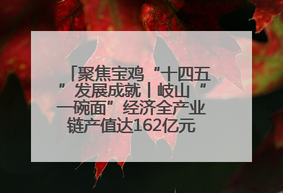 聚焦宝鸡“十四五”发展成就丨岐山“一碗面”经济全产业链产值达162亿元 入选全国典型县
