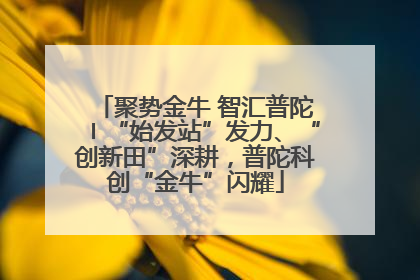 聚势金牛 智汇普陀〡“始发站”发力、“创新田”深耕，普陀科创“金牛”闪耀
