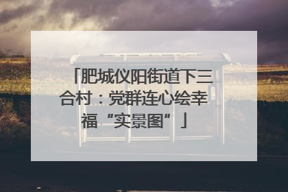 肥城仪阳街道下三合村：党群连心绘幸福“实景图”