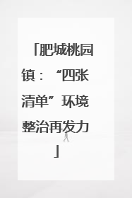 肥城桃园镇：“四张清单”环境整治再发力