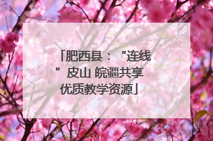肥西县：“连线”皮山 皖疆共享优质教学资源