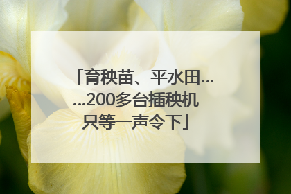 育秧苗、平水田……200多台插秧机只等一声令下