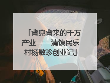 背兜背来的千万产业——清镇民乐村杨敏珍创业记